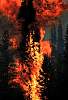 fire92.19515.jpg