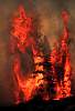 fire95.1447.jpg
