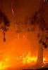 fireimg0002.jpg